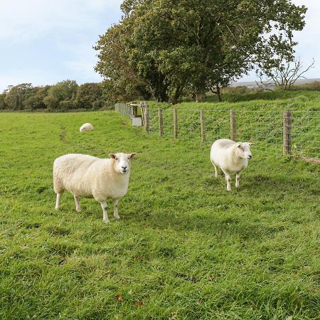 Lily Cottage Caernarfon Zewnętrze zdjęcie